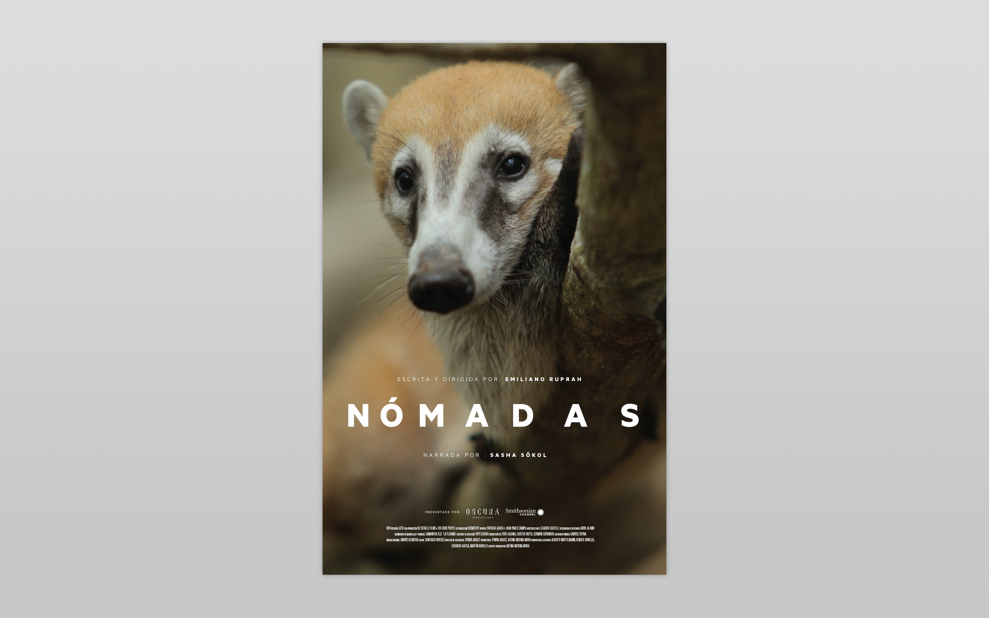 Cartel Nomadas