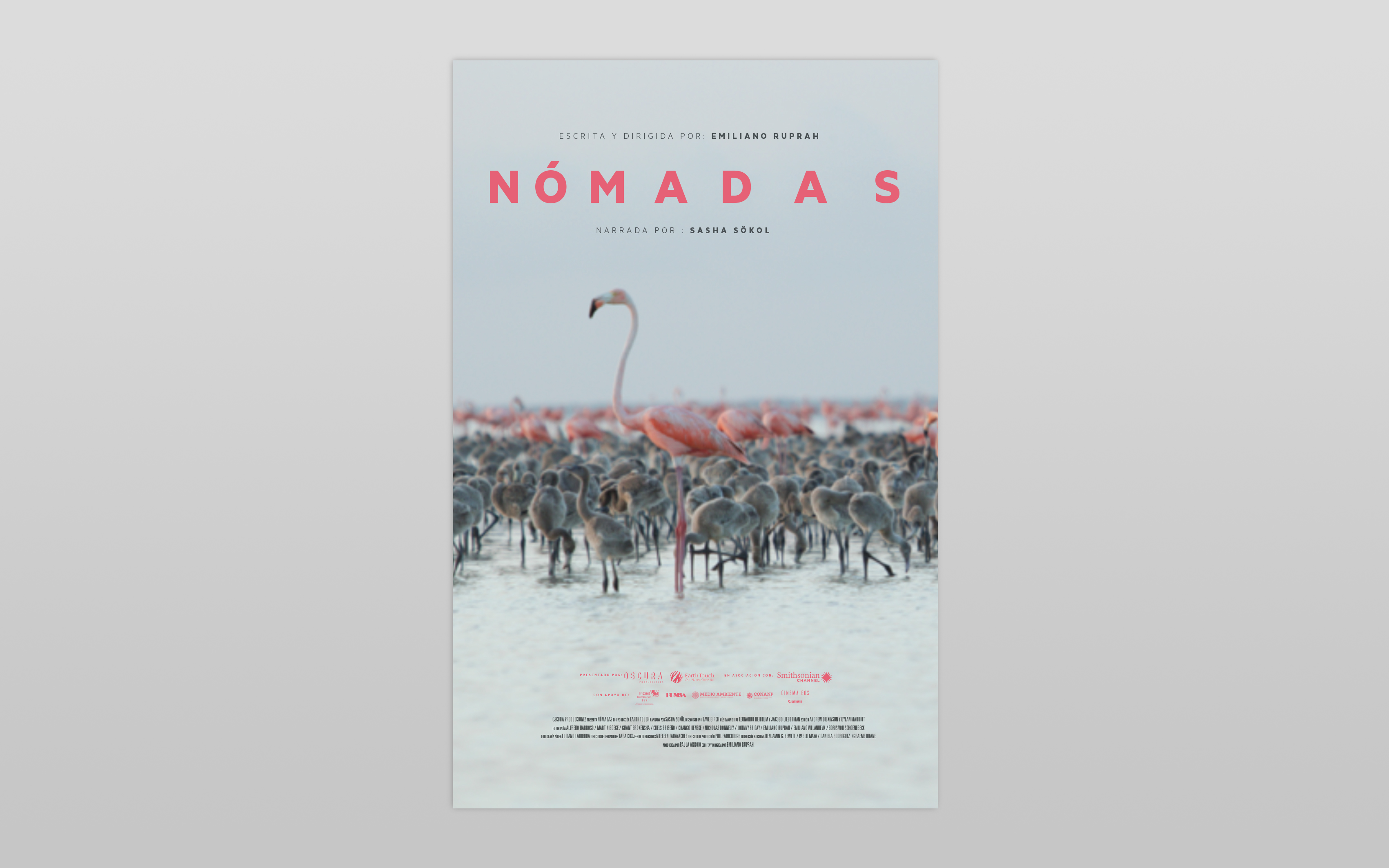 Cartel Nomadas
