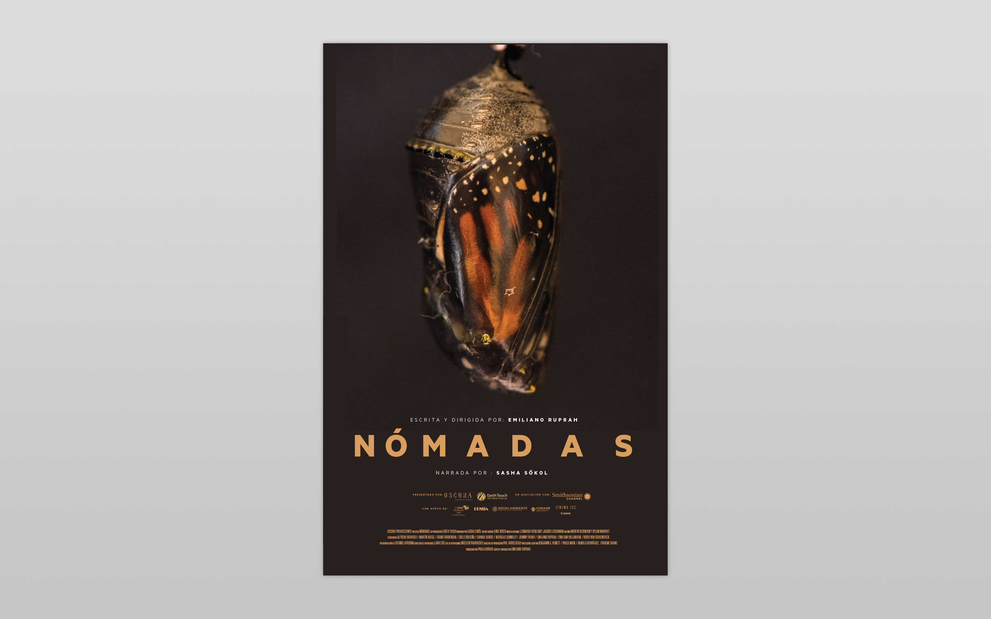 Cartel Nomadas