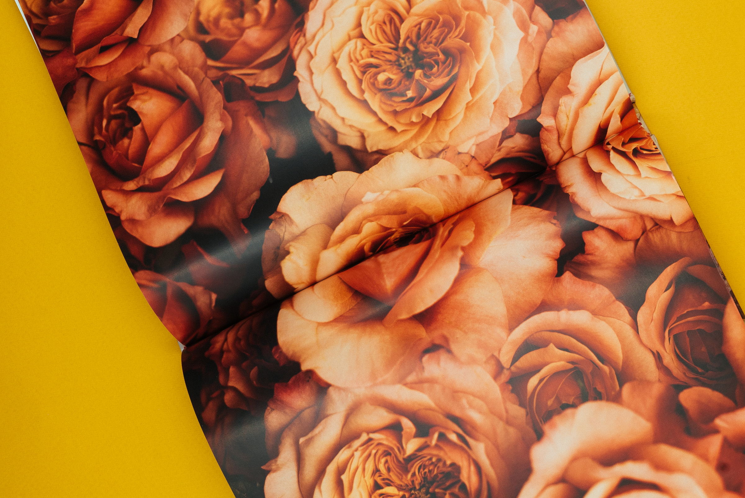 Diseño editorial