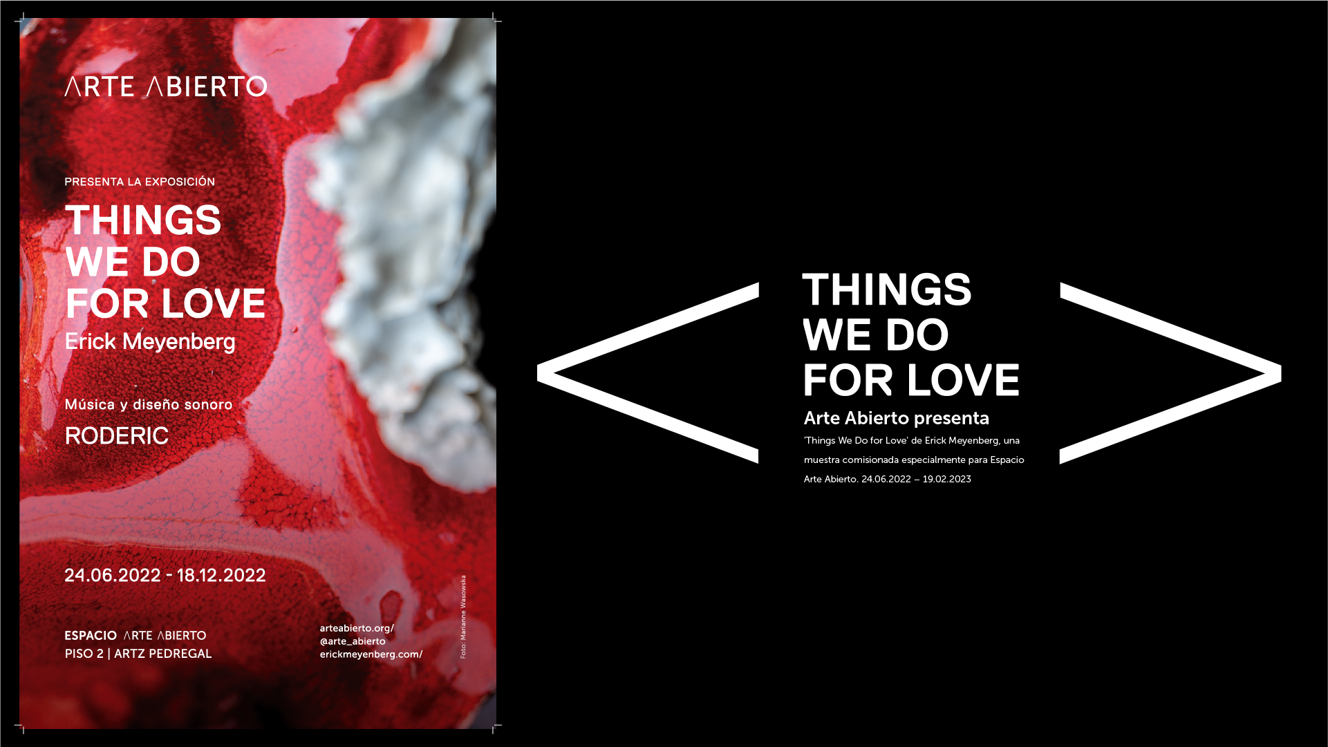 THINGS WE DO FOR LOVE