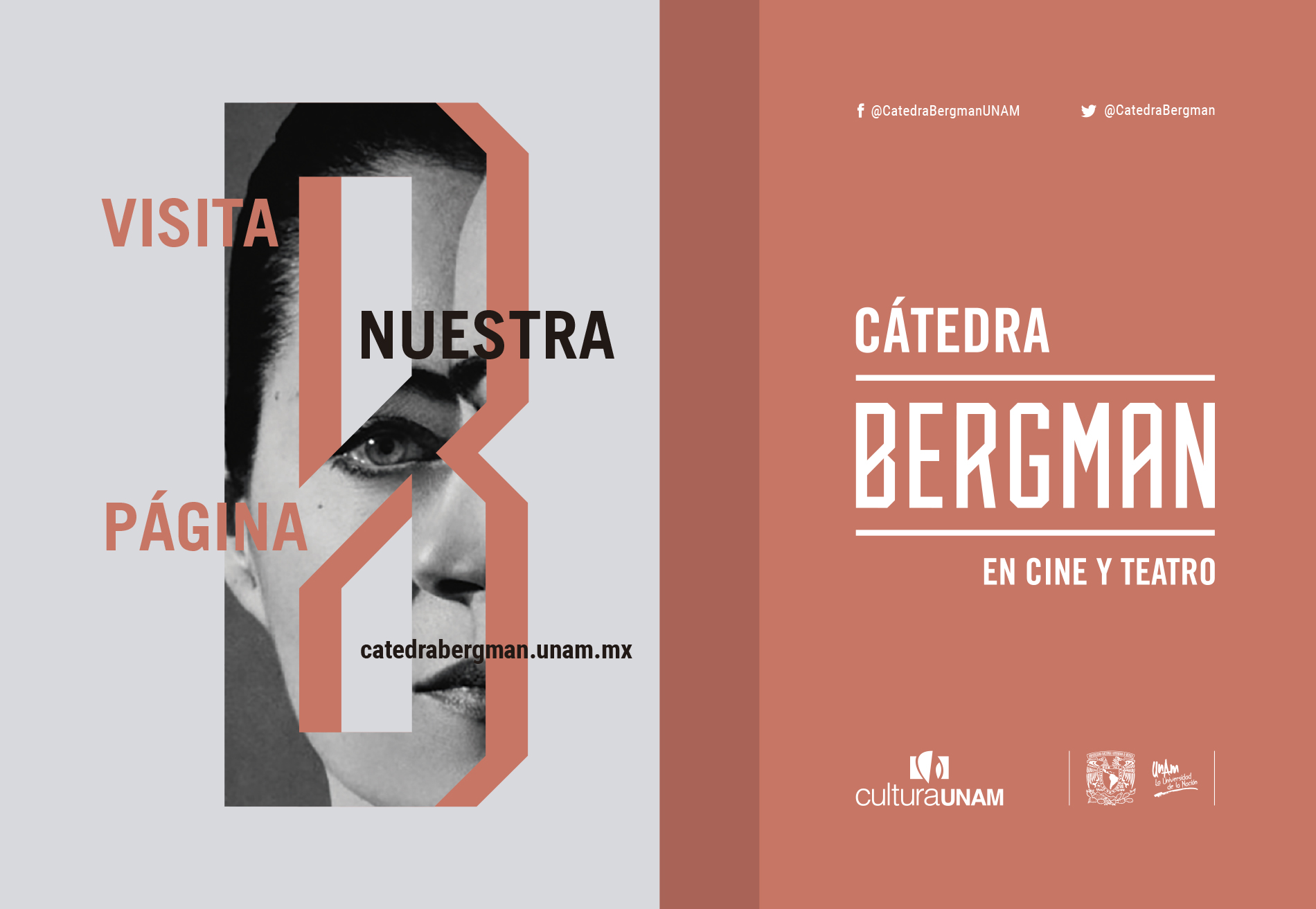 Cátedra cine