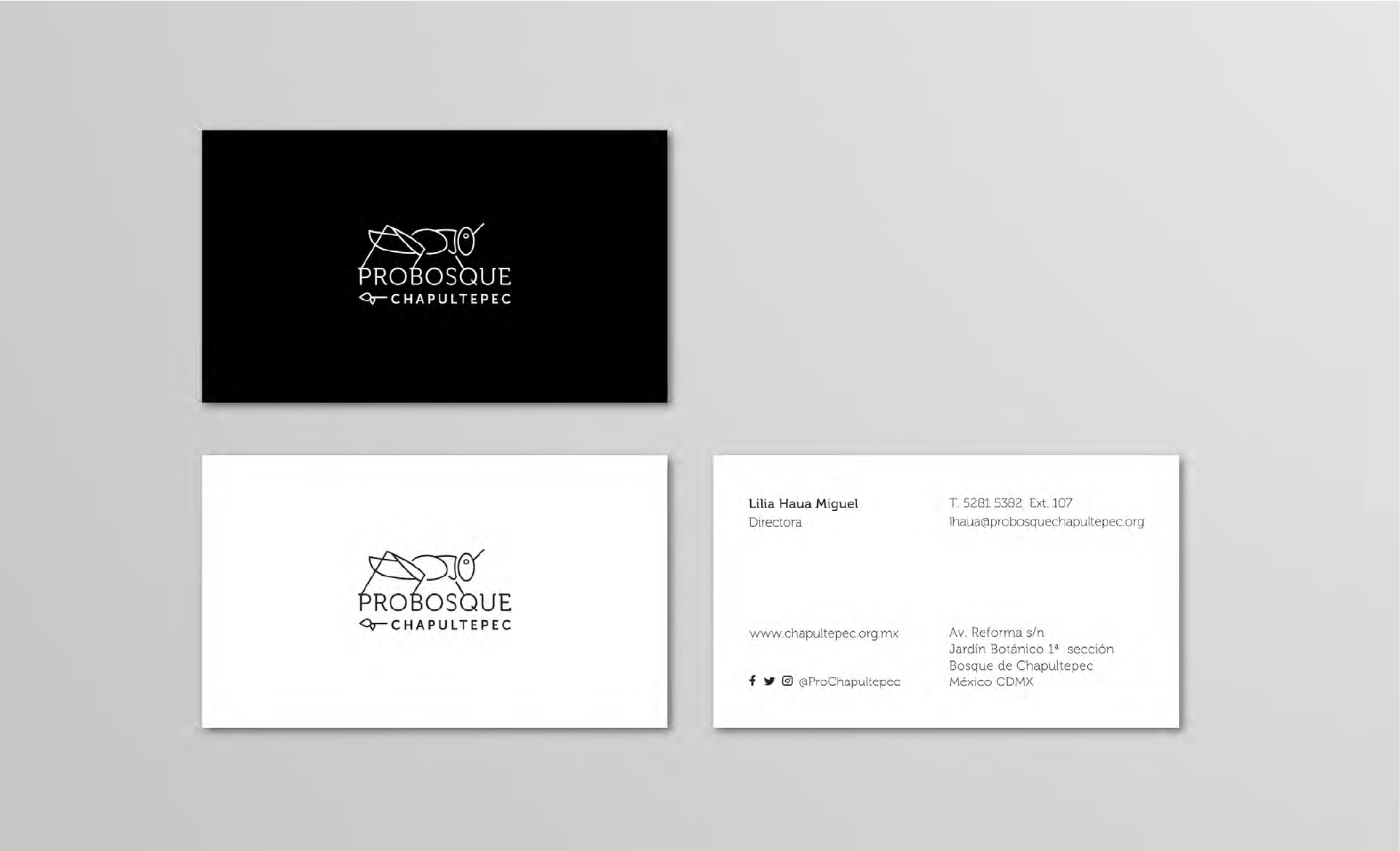 PROBOSQUE CHAPULTEPEC