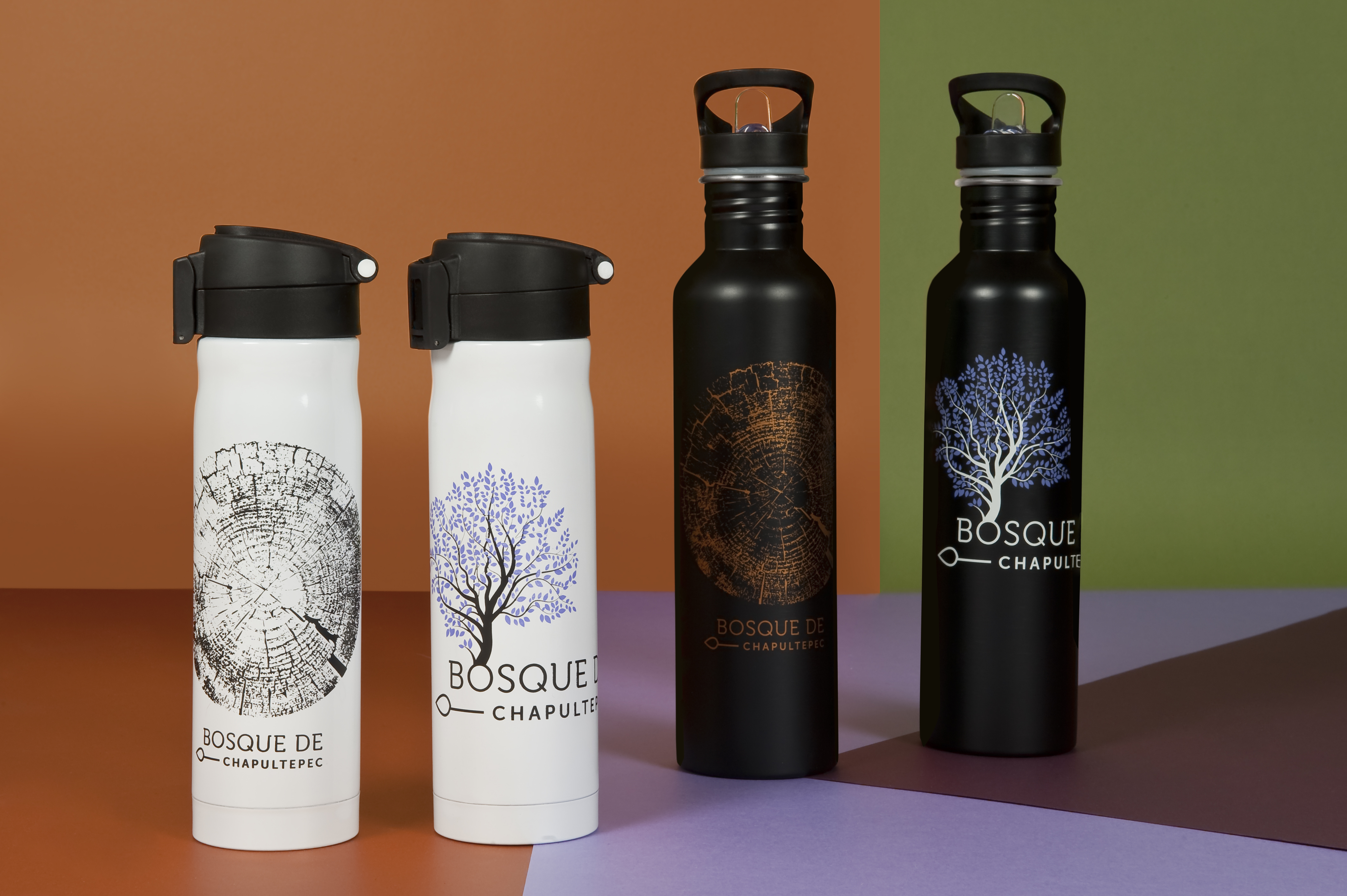 PROBOSQUE CHAPULTEPEC