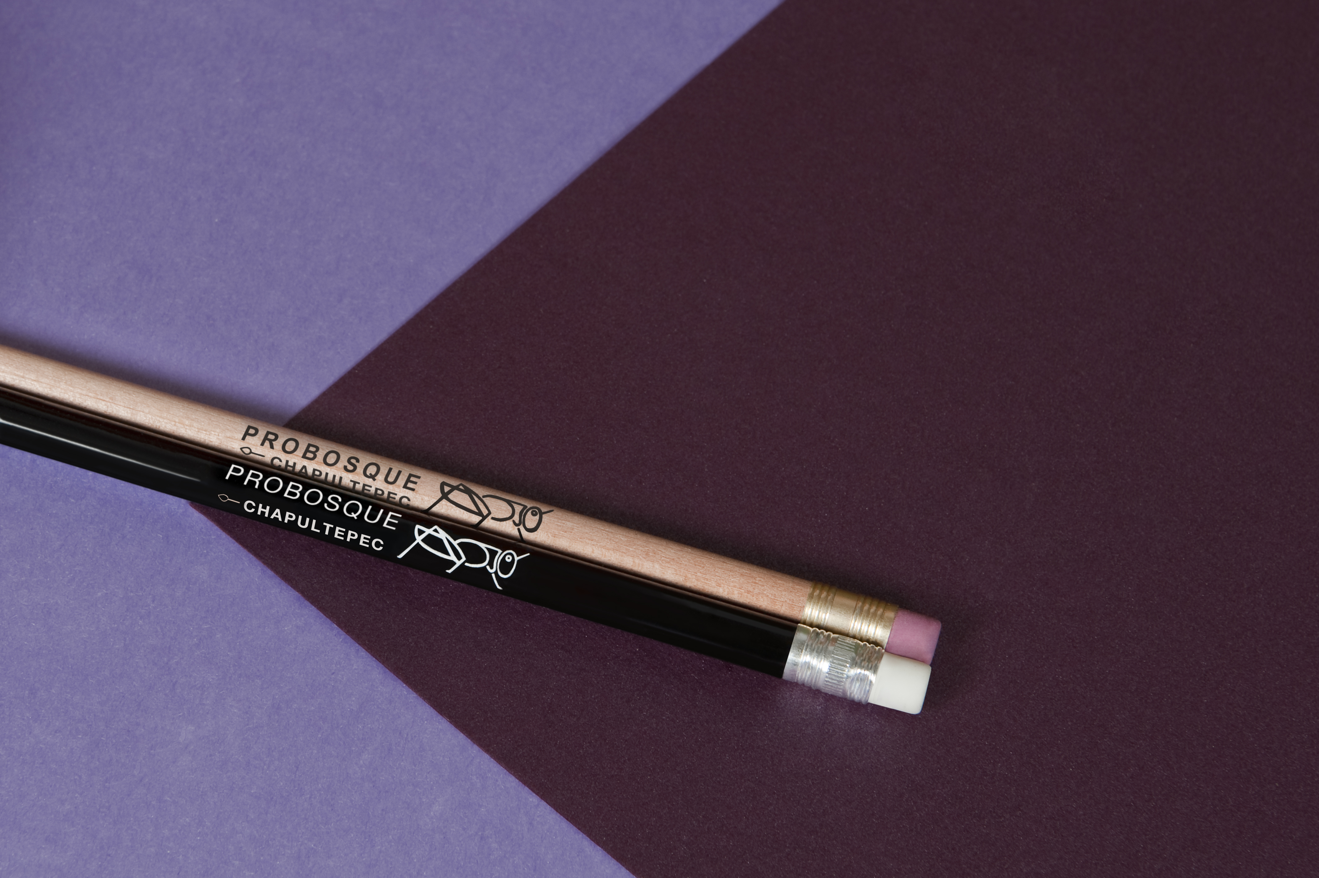 PROBOSQUE CHAPULTEPEC