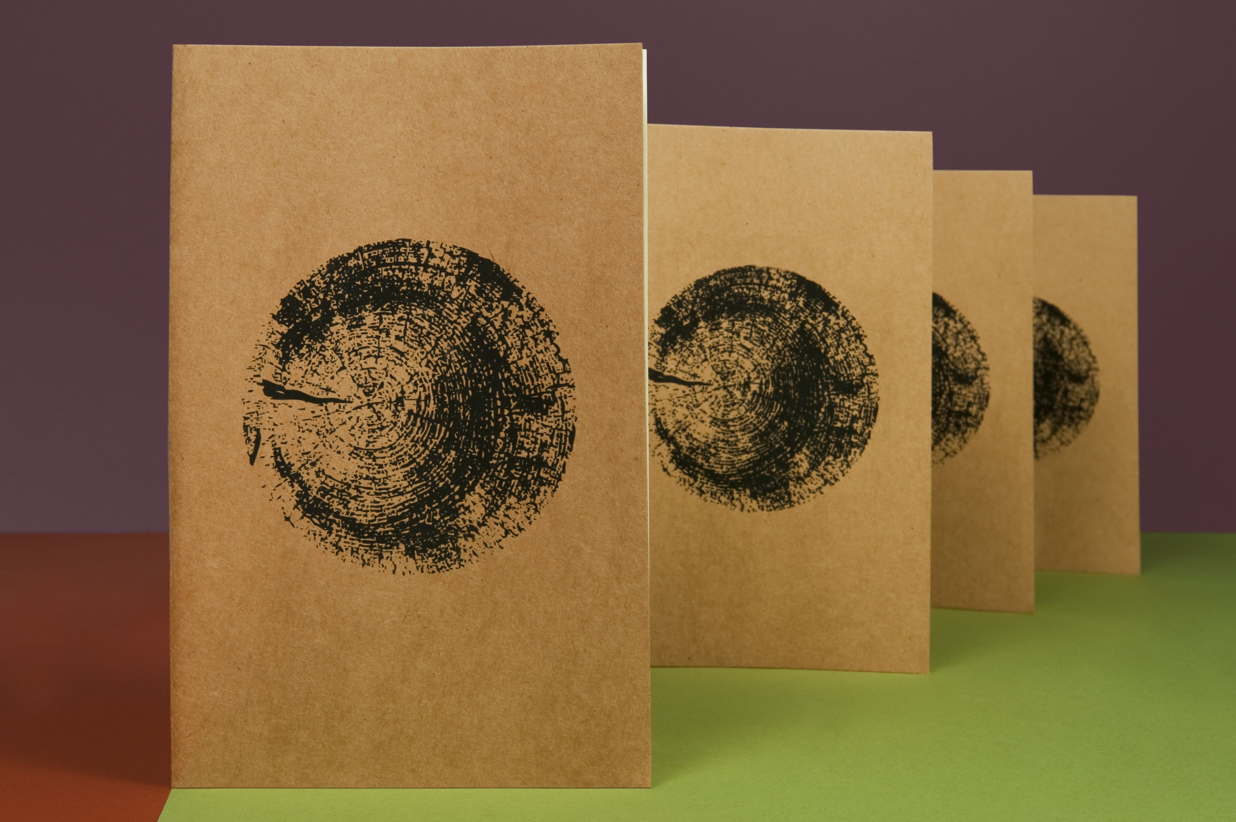 PROBOSQUE CHAPULTEPEC