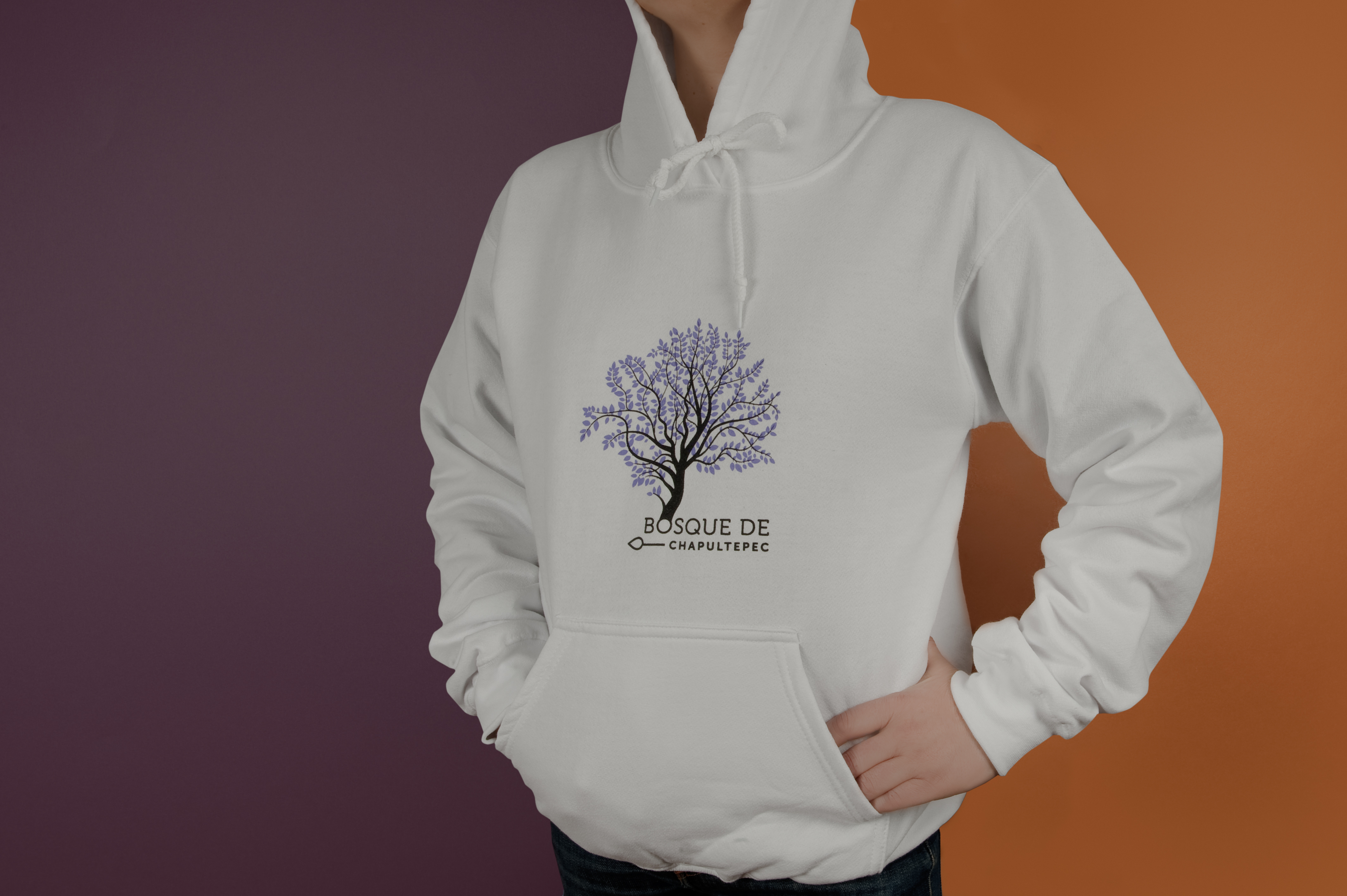 PROBOSQUE CHAPULTEPEC