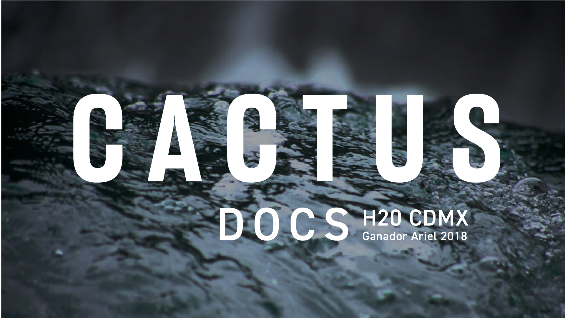 CACTUS FILMS