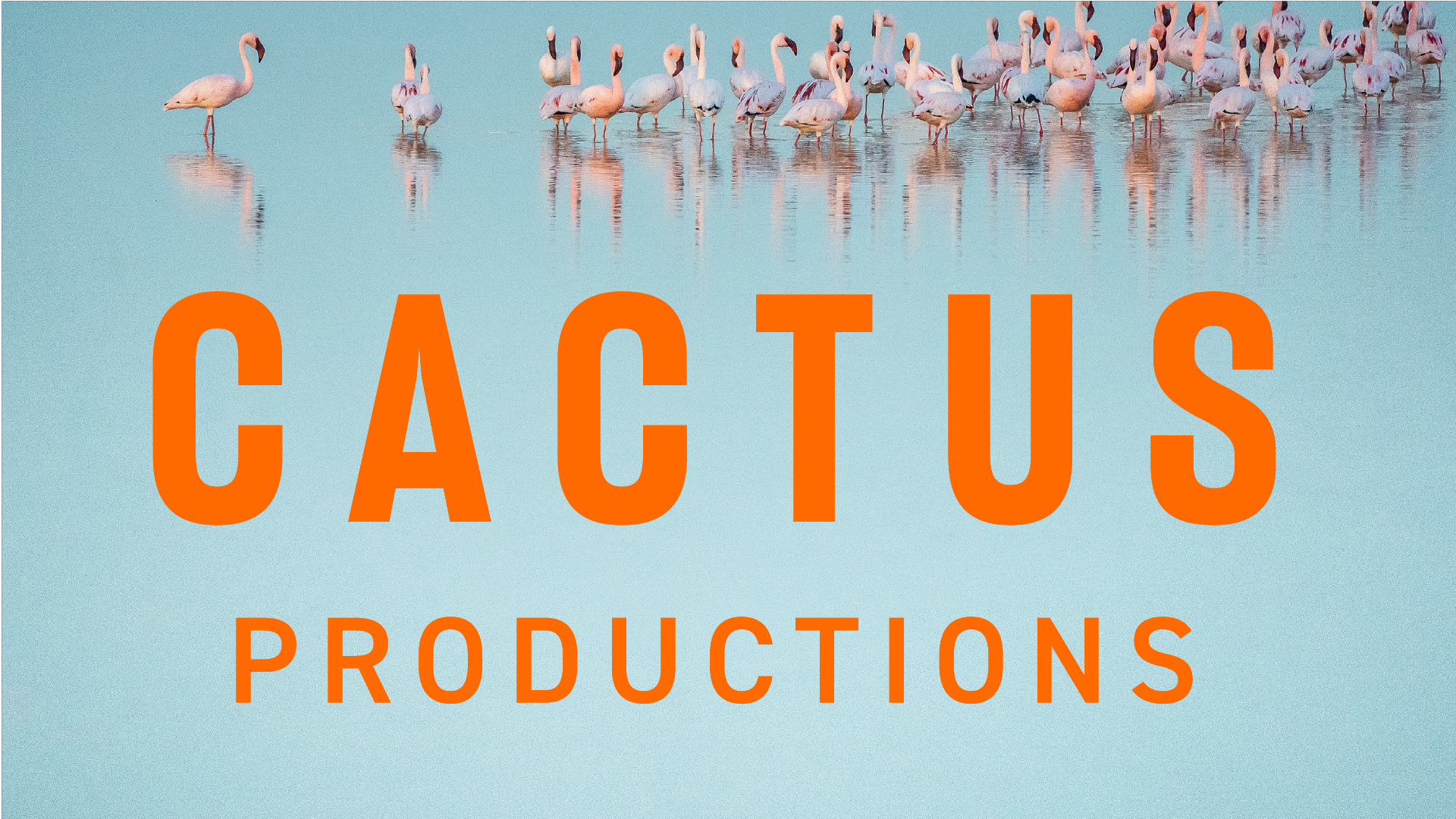 CACTUS FILMS