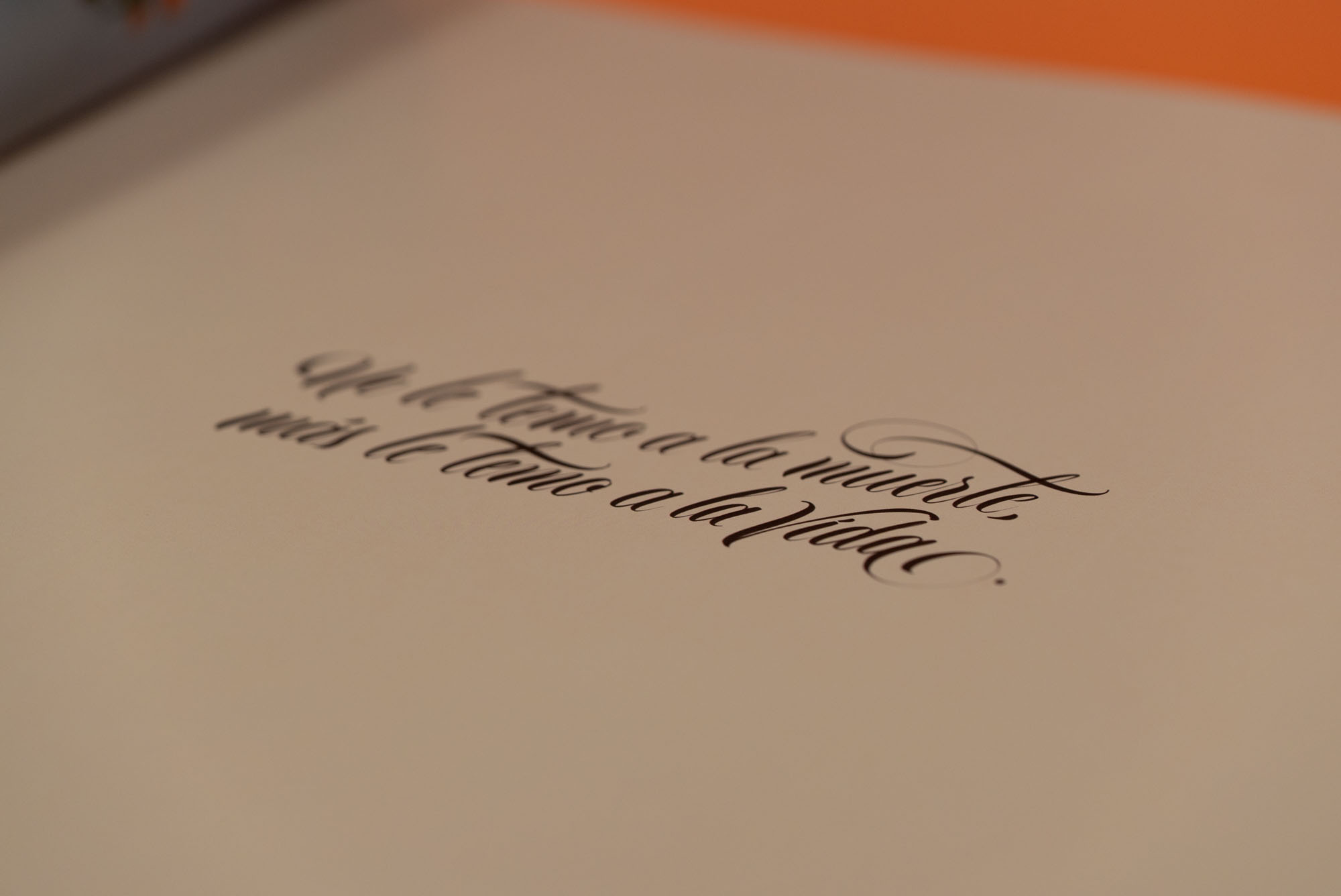 Diseño editorial
