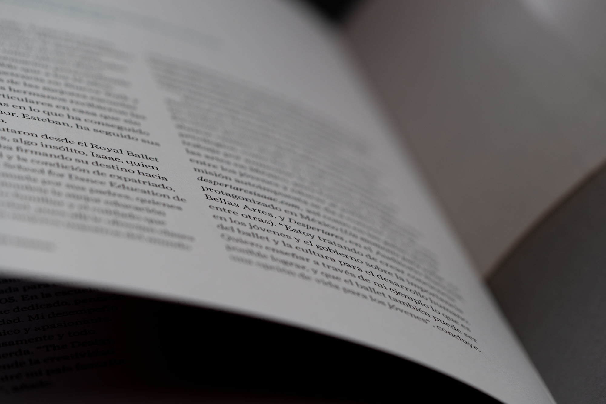 Diseño editorial