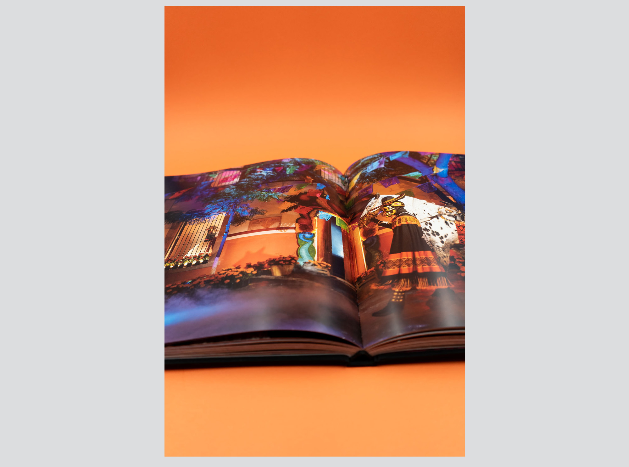 Diseño editorial