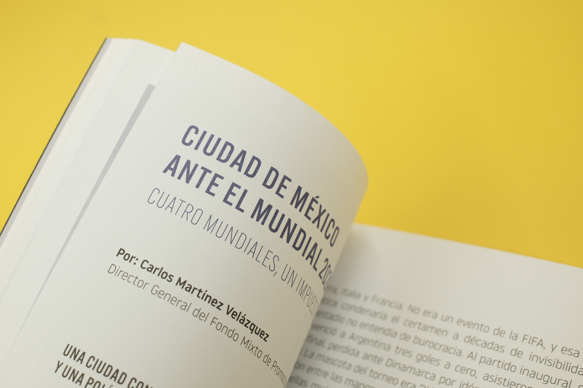 Sistema Grafico, identidad gráfica