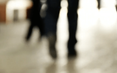 MUESTRA INTERNACIONAL DE CINE 53